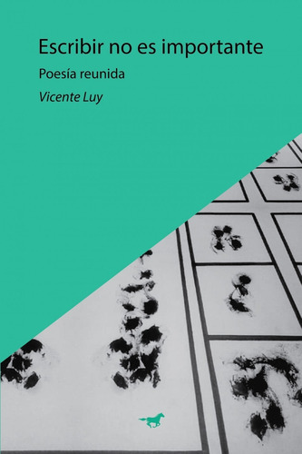Escribir No Es Importante - Vicente Luy - Caballo Negro