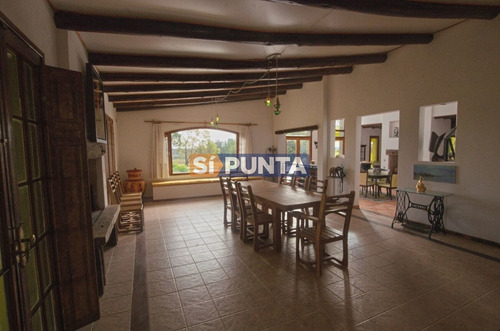 Imagen 13 de 30 de Chacra En Venta - Camino Cerro Eguzquiza