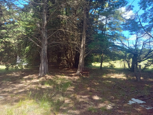 Se Vende Chacra Con Granero, Luz, Cañada,monte Y Luz.