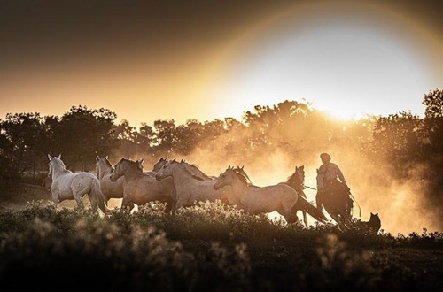 Lote En B° El Tropezón De Areco - San Antonio De Areco