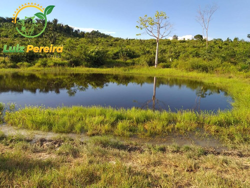 Imagem 13 de 15 de Fazenda À Venda Em Pacajá - Pa - De 625 Alqueirões (dupla Aptidão) - 1830