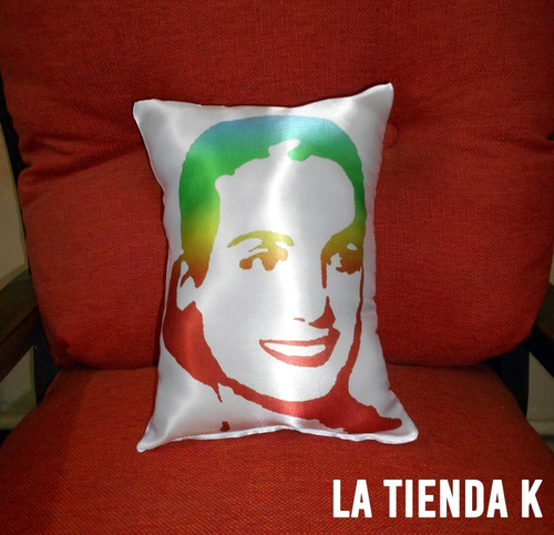 Imagen 10 de 10 de Almohadones De Relax Kirchneristas Peronistas Cristina Cfk