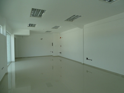 Imagen 2 de 17 de Galpon En Venta San Diego. Código 533.8471