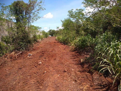 Imagen 4 de 18 de Terreno - Pueblo Cholul