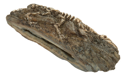 Decoración De Dinosaurio De Resina Para Pecera, Decoración D