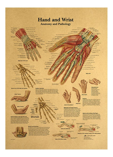 Póster De Papel Kraft La Estructura Humana, Anatomía Retro