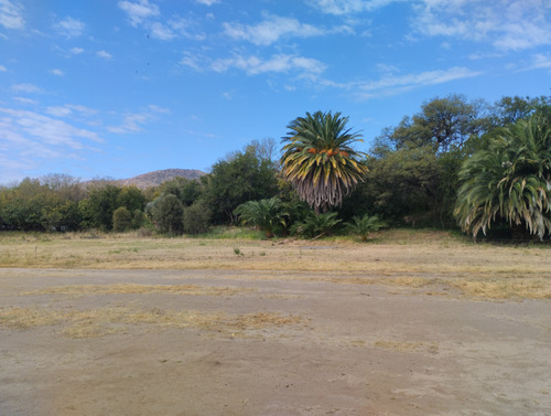 Cabaña De Troncos