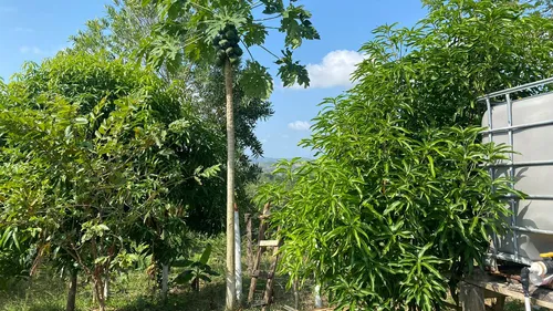 Finca En Venta En Salitral