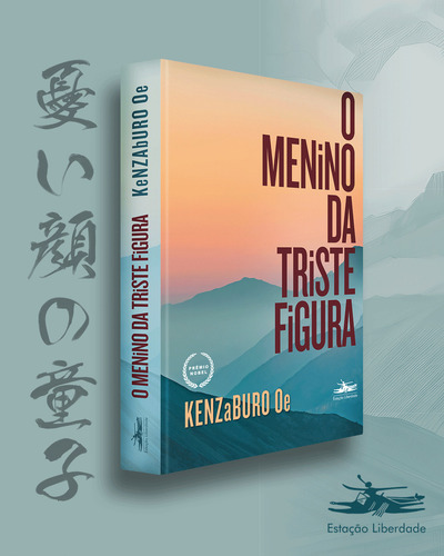 O Menino Da Triste Figura