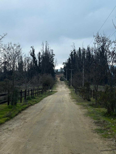 Vive En Un Ambiente Tranquilo Y Relajado (90447)