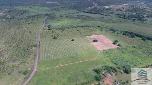 Imagem 10 de 12 de Fazenda 111ha, Santa Luzia De Touros