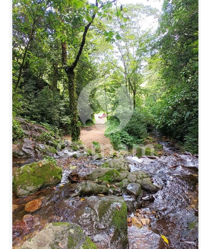 Terreno En Venta En El Texme Con Centro Ecoturistico Operativo