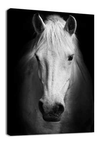 Cuadro Decorativo Animales Caballo Canvas | Portrait White
