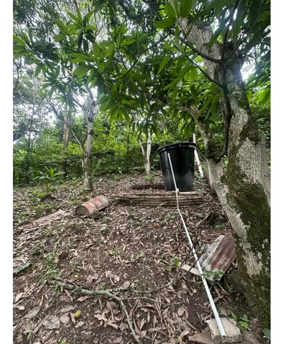 Lote En La Mesa Vereda El Palmar
