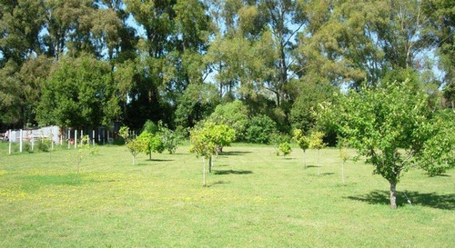 Imagen 9 de 13 de 5 Has - Pintorezca Chacra En Venta Para Disfrutar - A Minutos De La Plata !!!
