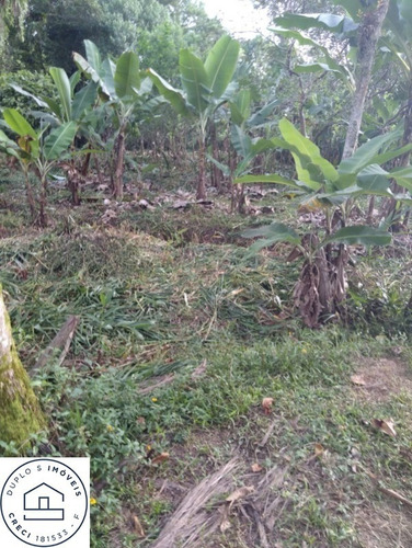 Imagem 13 de 16 de Chácara Em Itanhaém , Bairro Vergara , Isolada, Lado Morro - 6530 - 69937489