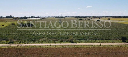 Terreno Campo  En Venta Ubicado En Solis, San Andres De Giles, Resto De La Provincia