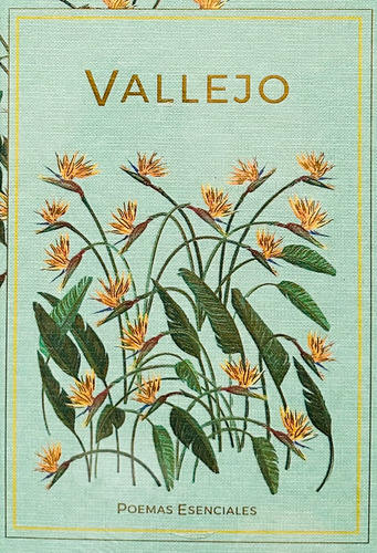 La Mejor Poesía De Los Poetas Más Notables N° 13 C. Vallejo