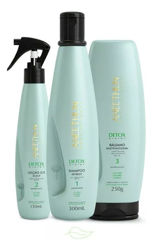 Kit Aneethun Detox Sh 300ml + Loção 150ml + Bálsamo 250g