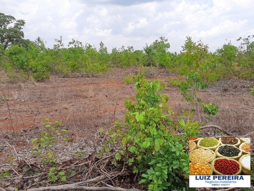 Fazenda À Venda Em Dueré/vale Do Araguaia -to - (dupla Aptidão) - 1537