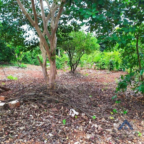 Chácara Com 2 Dormitórios À Venda, 5005 M² Por R$ 470.000,00 - Dom Pedro I - Londrina/pr - Ch0158