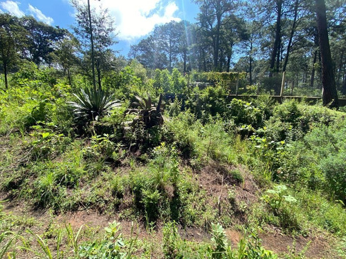 Imagen 3 de 11 de Terreno En Venta En San Gabriel Ixtla, Valle De Bravo