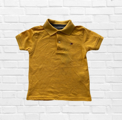 Imagen 1 de 1 de Polo Tommy