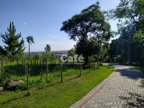 Imagem 25 de 30 de Terreno 13 X 25 Metros - Real Park - 2633