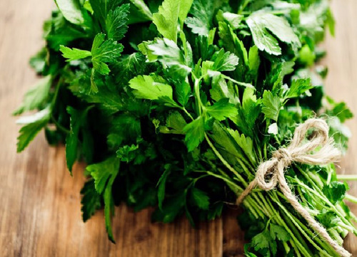 10 Semillas De Perejil Tabasqueño Culantro Eryngium Foetidum