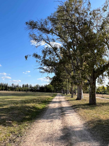 Imagen 26 de 30 de Lote A La Venta La Asuncion Luján Financiación