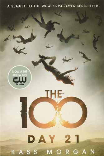 El Set Completo De 100 Unidades