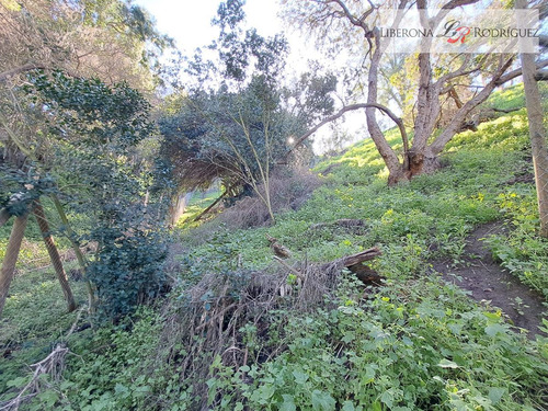 Parcela En Venta En Limache