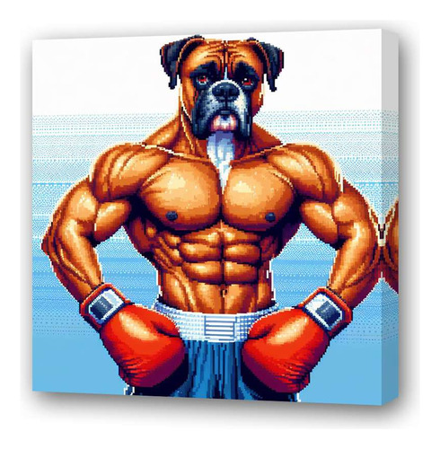 Cuadro 60x60cm Boxer Boxeo Boxeador Musculo Gym Perro