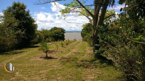Imagem 10 de 12 de Terreno À Venda 3.800m² - Angra De Antonina/sp - Te0154