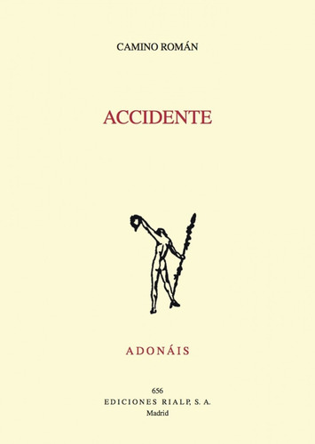 Libro Accidente - Roman Alvarez, Camino