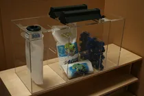 Comprar Filtro Refugio Acuario Marino Con Lampara Media  65 Gal