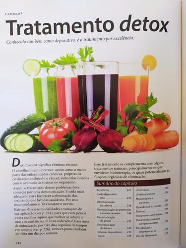 O Poder Medicinal Dos Sucos E Shakes Detox Lacrado + Brinde