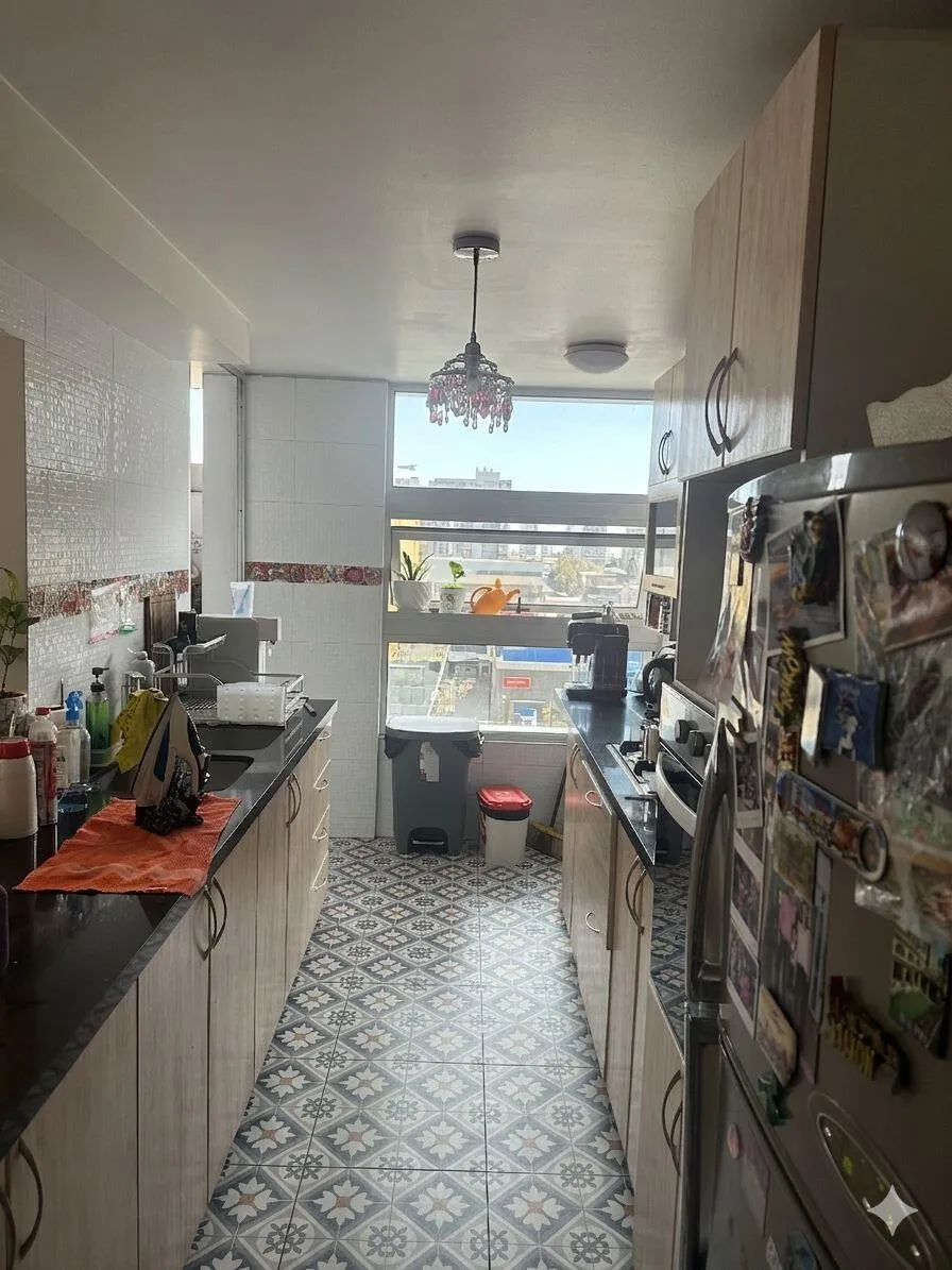 Imagen 5 de 16 de Arriendo Departamento 3hab 2ba Providencia