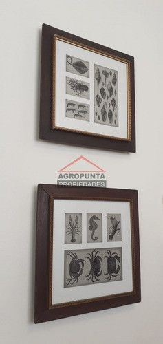 Monoambiente En Gorlero- Ref: 2731