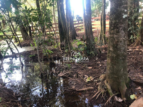 Imagem 4 de 19 de Chácara À Venda Em Igarapé, Bairro Batatal, - Te0261