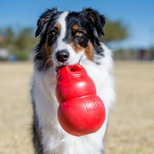 Kong Bounzer X Large Brinquedo Para Cães