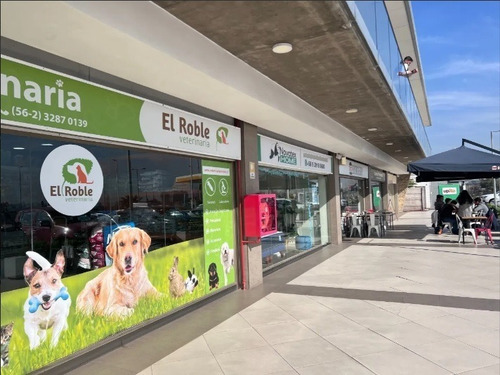 Local Comercial Con Excelente Exposición
