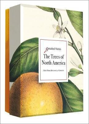 The Trees Of North America : A Detailed Notes Notecard Se...