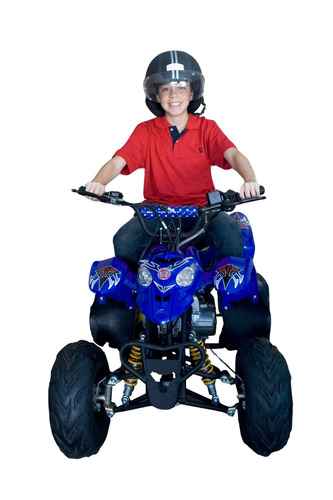 Quadriciclo À Gasolina Infantil 110cc Barzi Motors Moskiti