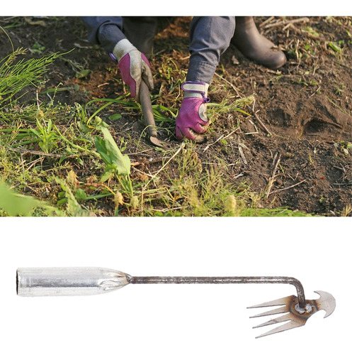 Herramienta De Deshierbe De Jardín, 30 Centimetros
