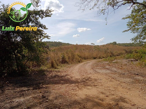 Imagem 7 de 15 de Fazenda À Venda Em São Valério - To - De 223 Alqueirões (pecuária) - 1821