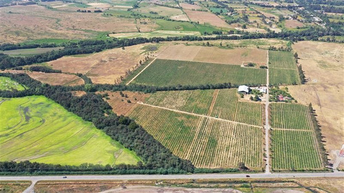 Imagen 18 de 18 de Agrícola En Venta En Ñiquén