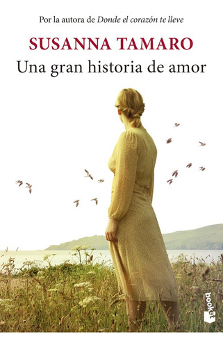 Libro Una Gran Historia De Amor - Susanna Tamaro