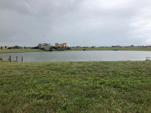 Imagen 3 de 15 de Lote De 800 M2 A La Laguna En Venta En San Sebastián Area 1