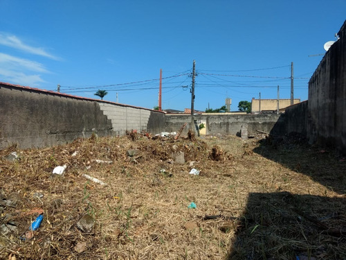 Imagem 6 de 6 de Terreno - Te00003 - 34932109